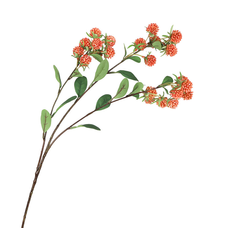 Tige de baies sauvages, Orange