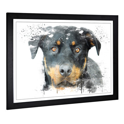 Rottweiler Dog - Wall Art