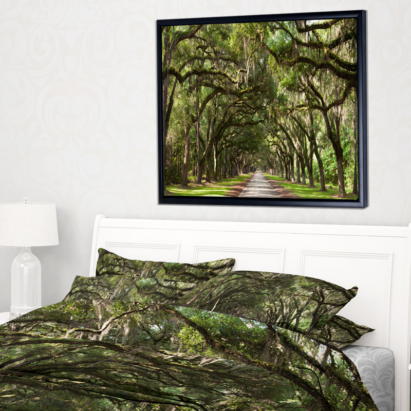 Live Oak Tunnel - Imprimé, H 16 po x l 32 po x P 1 po, Toile avec cadre flottant
