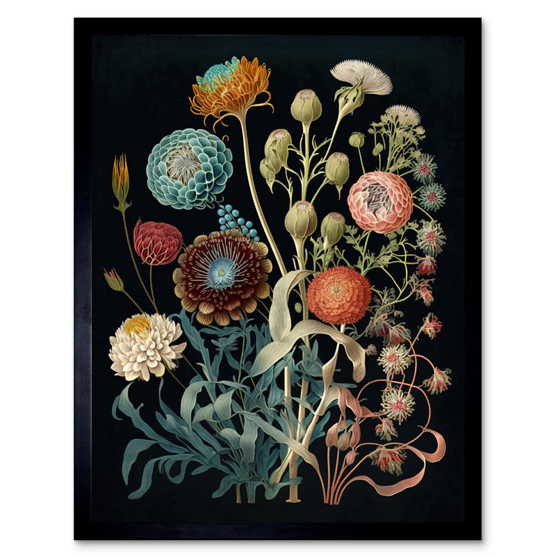 Etonbury Vintage Botanical Ernst Haeckel - Single Picture Frame Print
