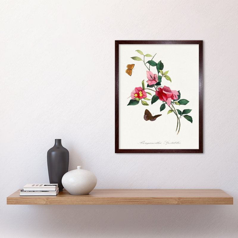 Bougainvillea Pink Floral Vine Bloom Butterflies - Painting, 43cm H x 33cm W, Brown Framed Paper