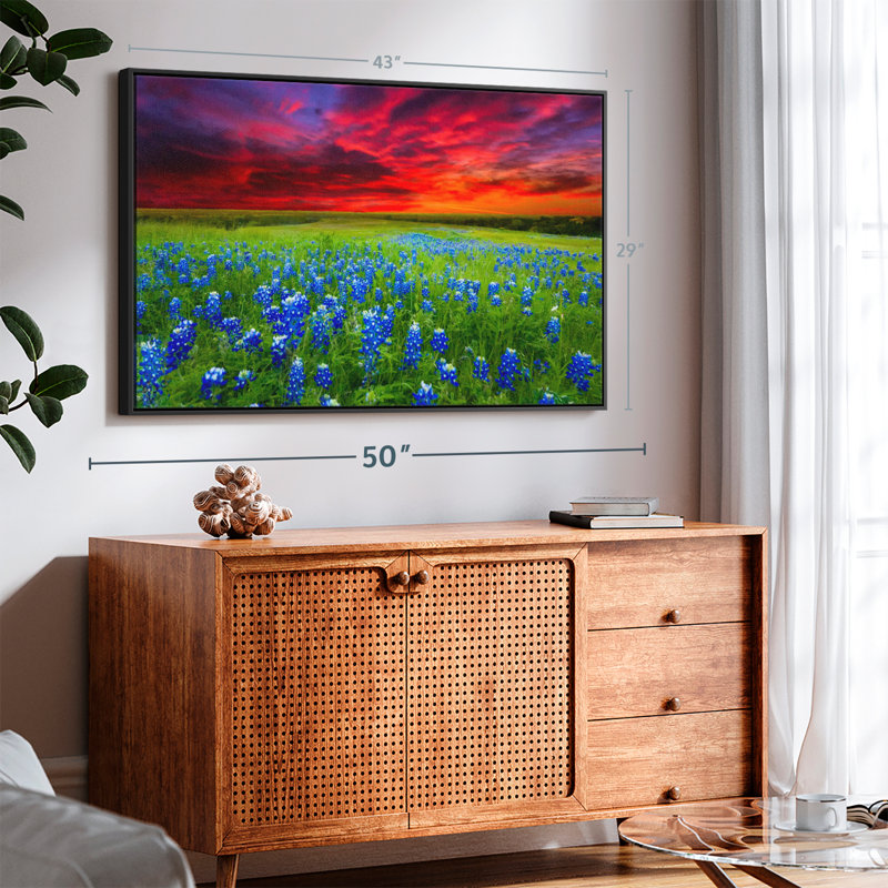 Bluebonnets At Sunset I Canvas Print, 29" H x 43" W