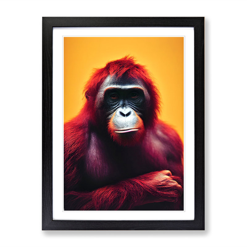Orangutan Portrait Vol.1 - Picture Frame Print, Black, 34cm H x 25cm W x 2cm D