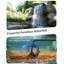 Outdoor Fountain