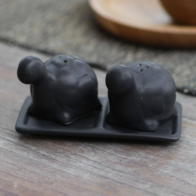 Ensemble salière et poivrière Kalup Tortoise Friends, Noir