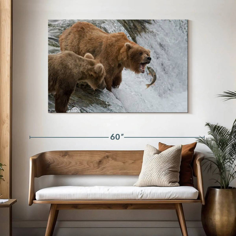 Ours bruns grizzlis chassant des poissons, H 32 po x l 48 po