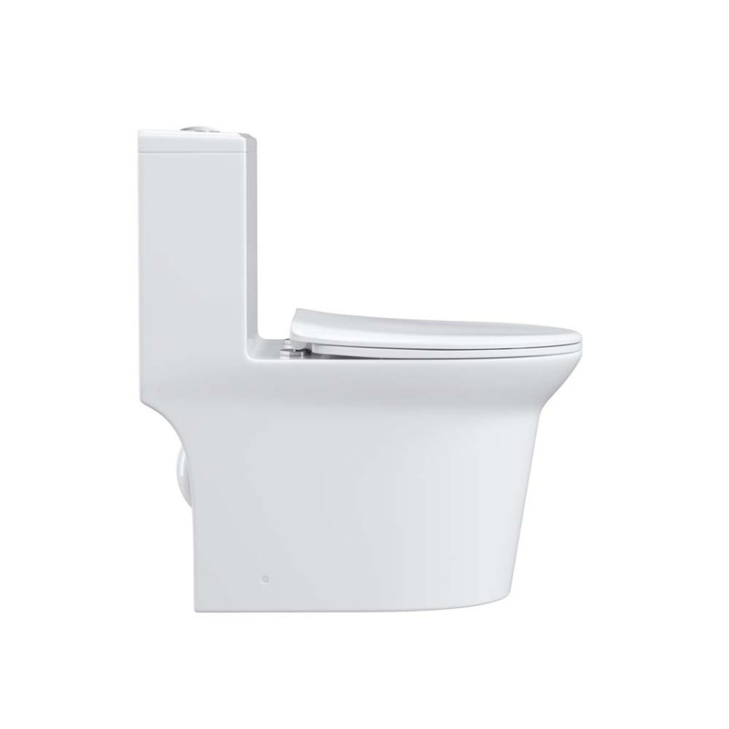 Toilette allongée une pièce 1,6 GPF Tusuton