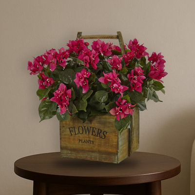 Jardinière Bougainvillea