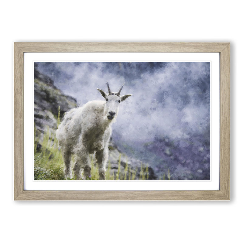 Mountain Goat Vol.2 - Picture Frame Painting, 48cm H x 65cm W x 2cm D, Oak Framed