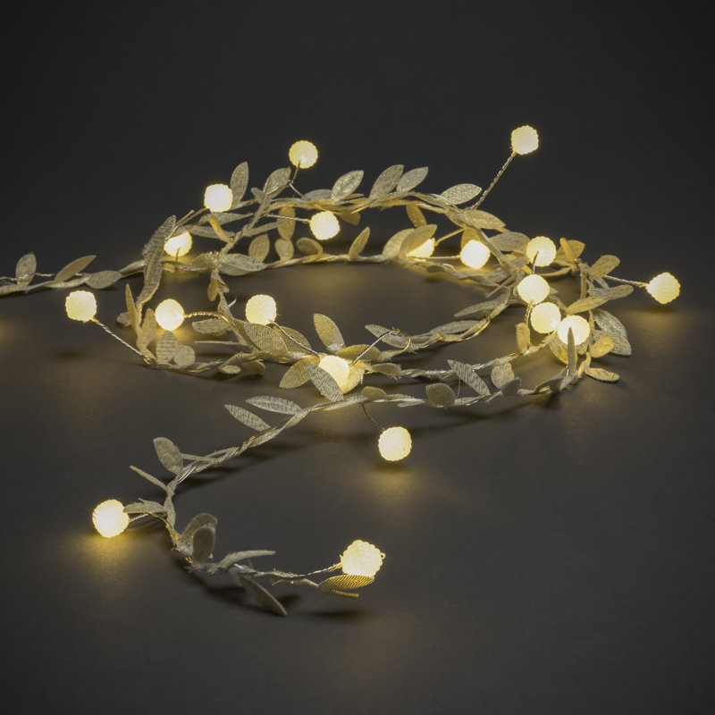 220cm LED Battery Powered 20 - Bulb Novelty String Light