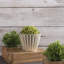 Ensemble de 3 jardinières à finition craquelée argent et or