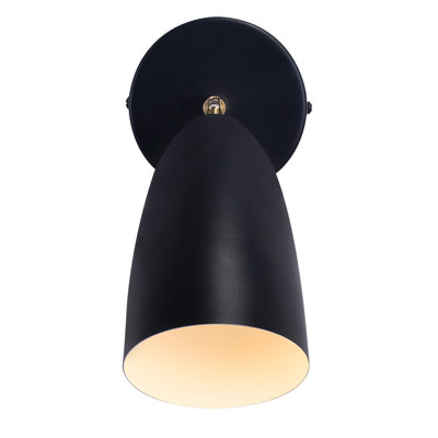 Shaylon Iron Armed Sconce
