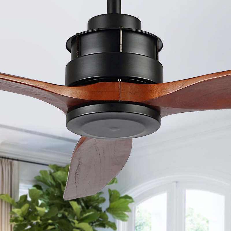 Kandida 52'' Ceiling Fan