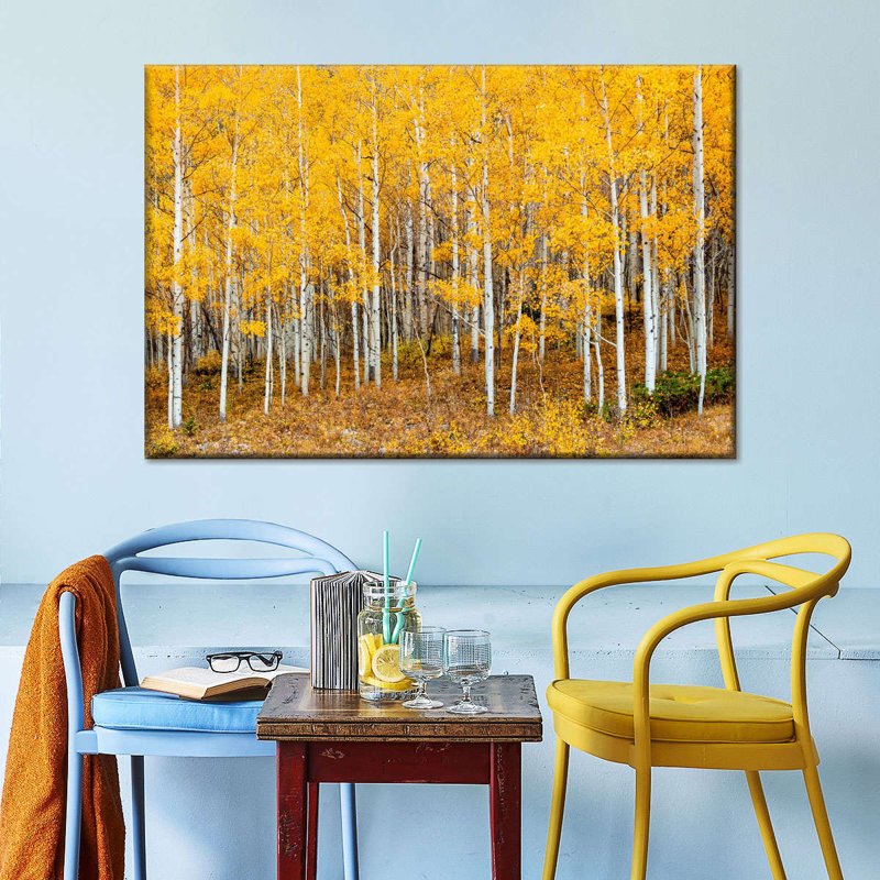 Colorado Aspen Forest, reproduction sur toile, H 30 po x l 45 po x P 1,25 po