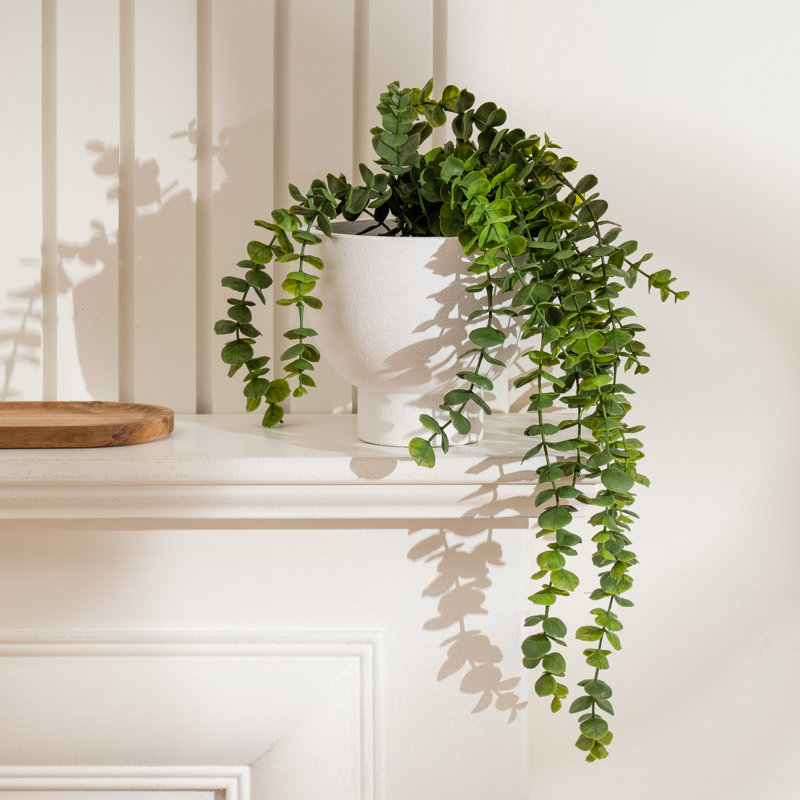 40cm Faux Trailing Eucalyptus in Rustic Footed Pot