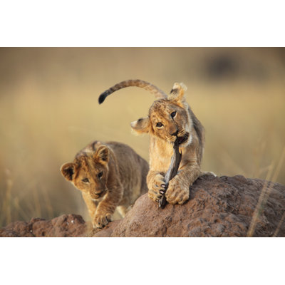 1 Piece Wall Art on Canvas