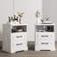 Ensemble de chambre à coucher 3 pièces Brigman, commode double 6 tiroirs l 47,2 po et deux tables de chevet 2 tiroirs avec station de charge-733182057