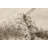 Silk Shadow Khaki Rug 6'0" x 8'9"