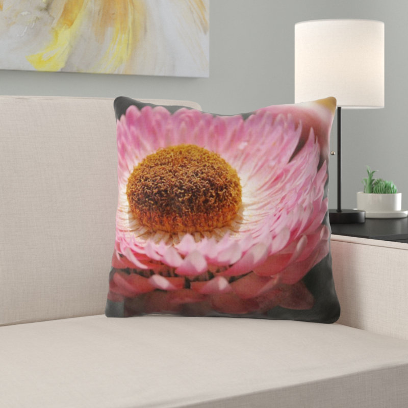 Coussin helichrysum