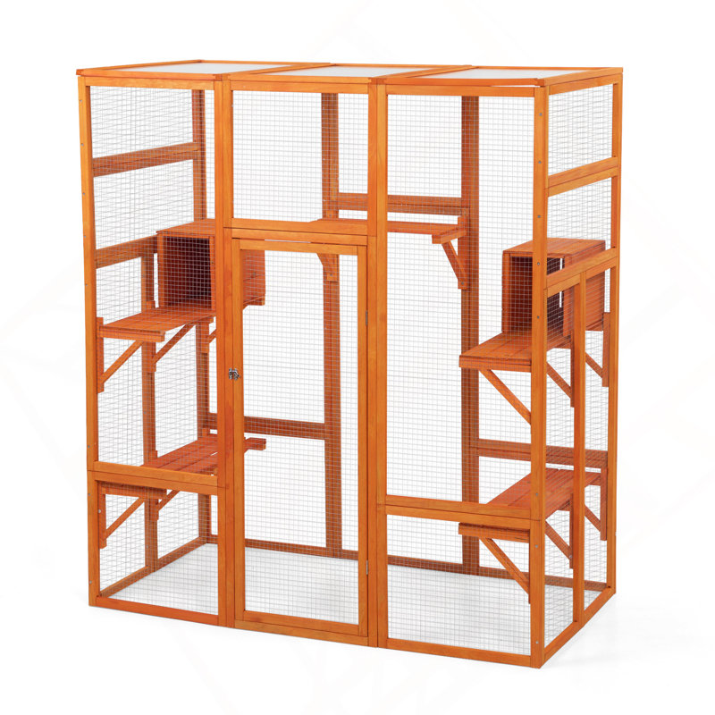 Grande enceinte pour chat avec 5 perchoirs, 2 condos et 1 porte verrouillable, orange