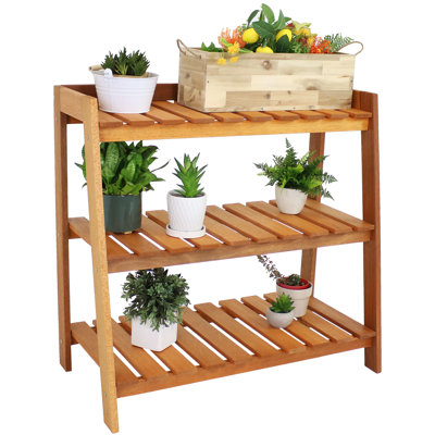 Etting 3-Tier Brown Meranti Wood Outdoor Plant Stand Garden Shelf