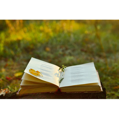 " Vintage Book " by Finwal