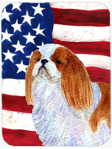 Planche à découper en verre « American Flag » avec anglais Toy USA