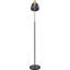 170cm Task Floor Lamp