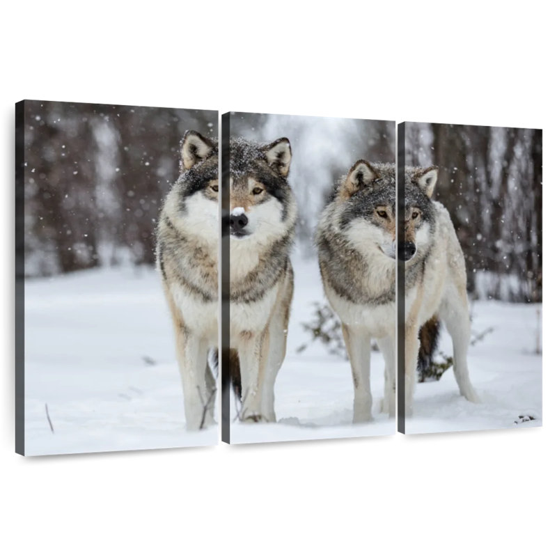Brampt Wolves In Langedrag Nature Park, 20" H x 33" W