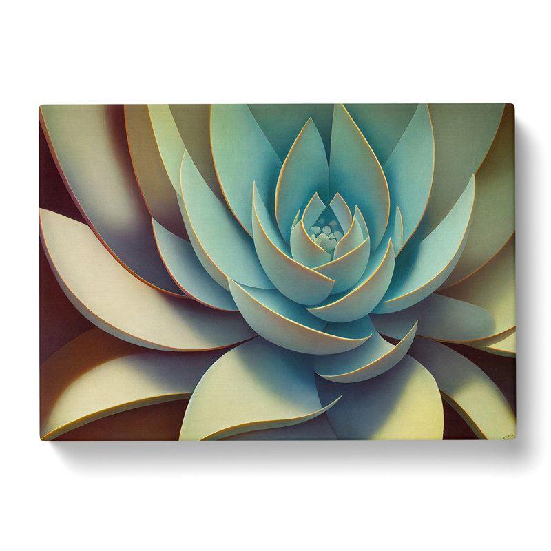 Phenomenal Succulent Plant - Wrapped Canvas, 40cm H x 60cm W x 3cm D