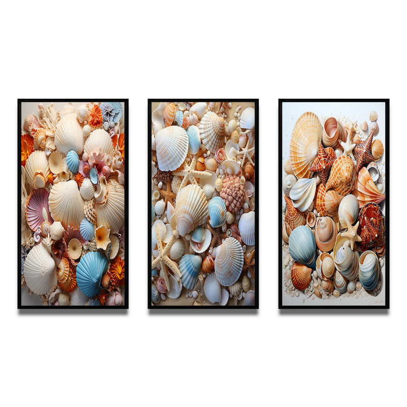 «Beach Photo Seashell Collage I», 3 pièces sur toile, Cadre noir, H 28 po x l 36 po