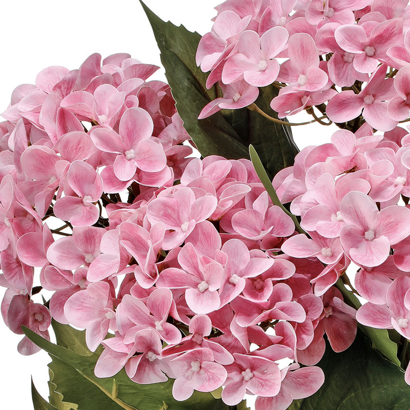 Arrangement d'hortensias, touche naturelle, Rose