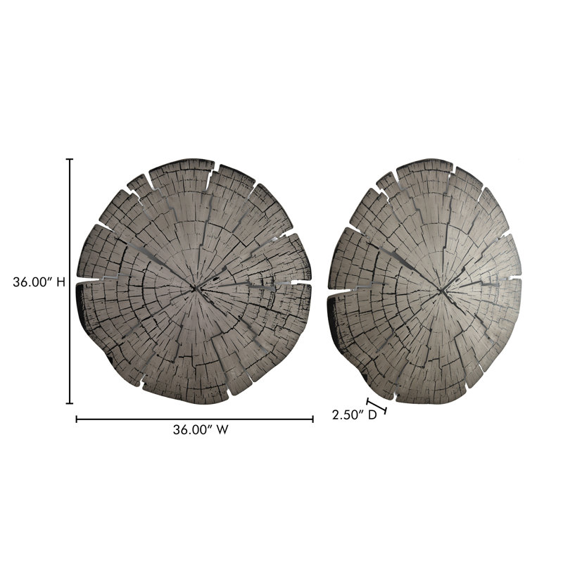 Aaella Rustic Abstract Wall Decor on Metal