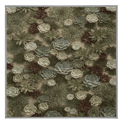 Machine Washable Botanical Brown Area Rug