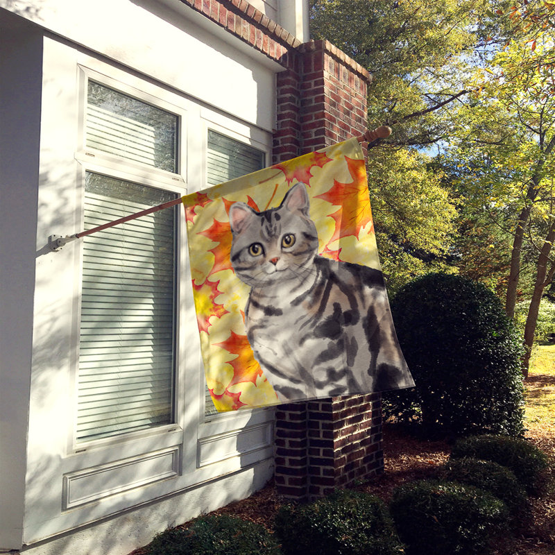 Apolino Double Sided 40 in. H x 28 in. W Polyester Animal House Flag