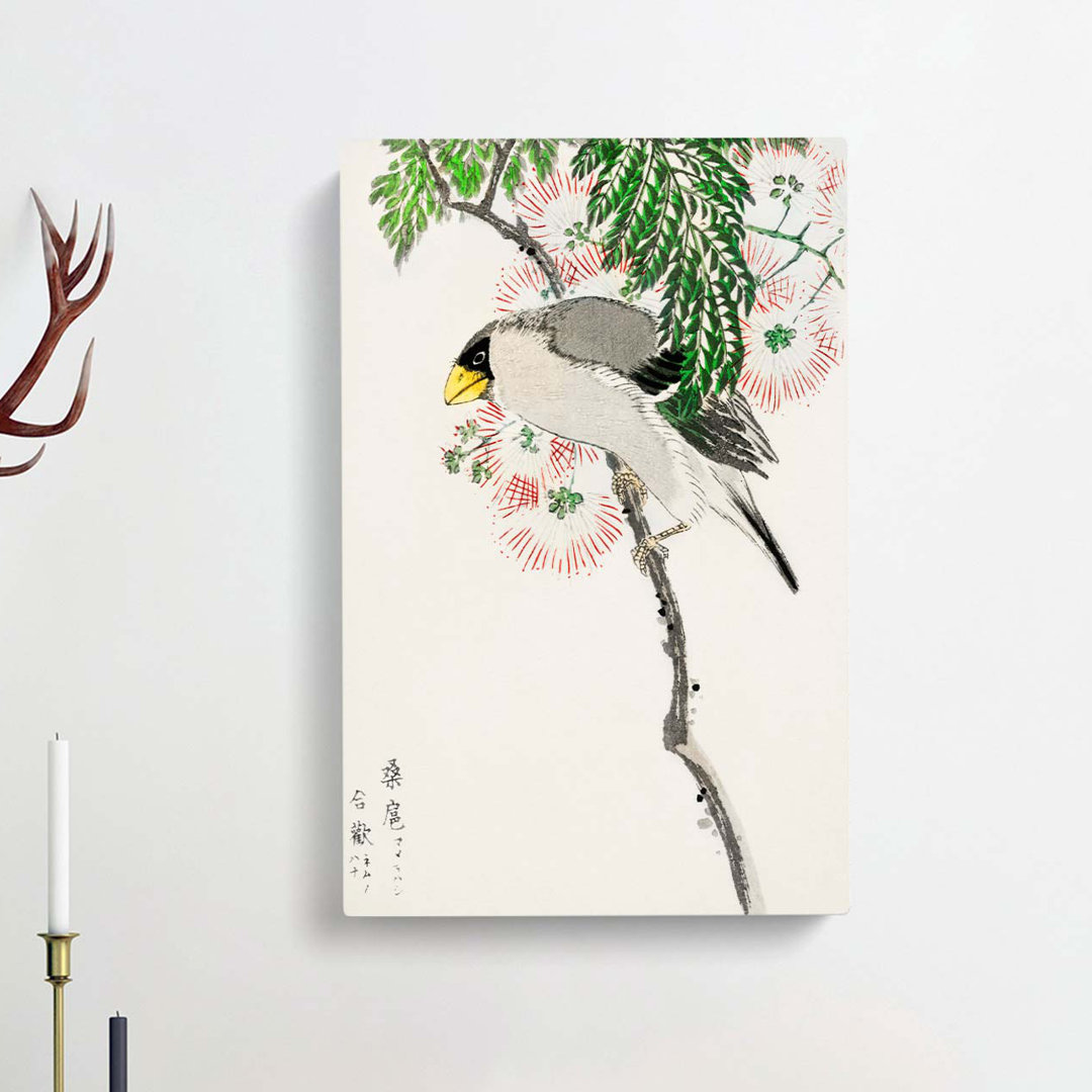 Masked Hawfinch And Silk Tree by Numata Kashu - Wrapped Canvas