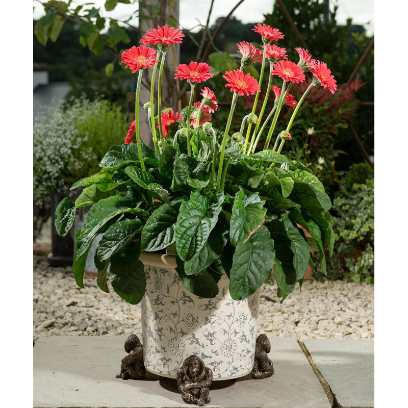 Goodin Metal Planter Feet