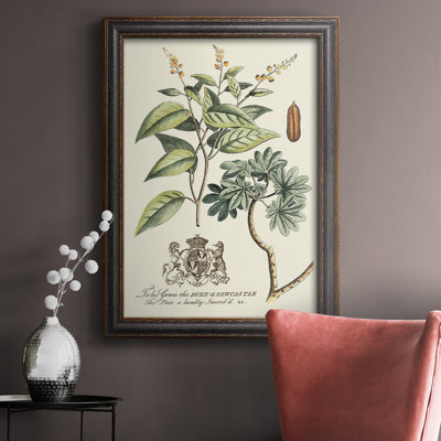 " Imperial Foliage IV "