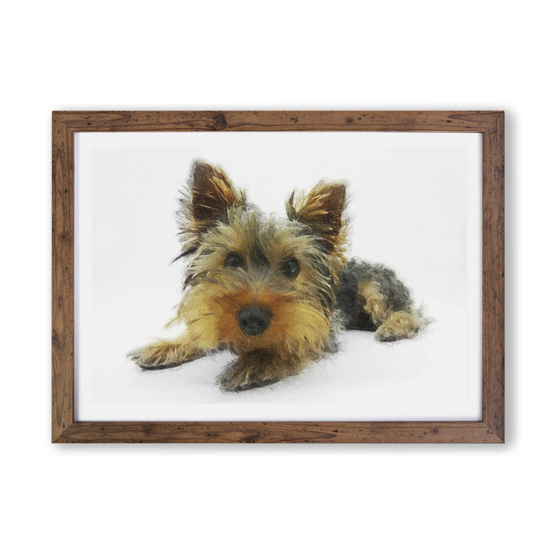 Yorkshire Terrier Dog - Framed Print, 45cm H x 63cm W x 2cm D, Walnut