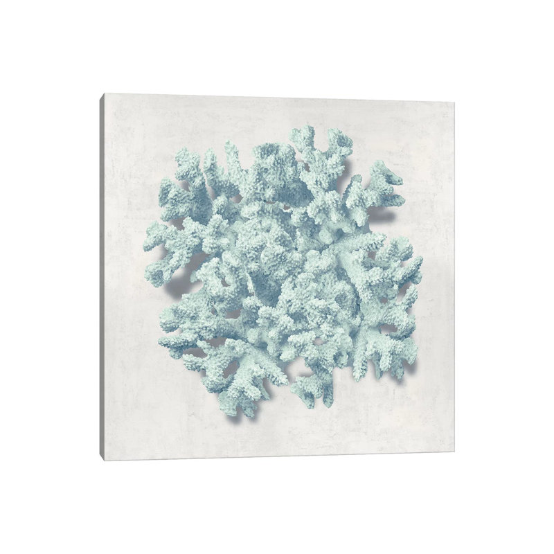 Coral Mint II by Caroline Kelly - Wrapped Canvas Print, 45.72cm H x 45.72cm W x 1.905cm D
