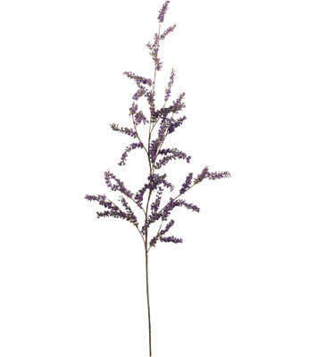 Berry Arrangement