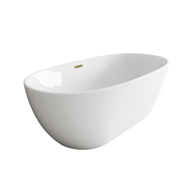 Cateisha 67'' x 30.7'' Soaking Acrylic Bathtub