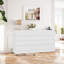 154.9 cm W Chest of 12 Drawers