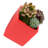 Ealy Ceramic Wall Planter-27330513