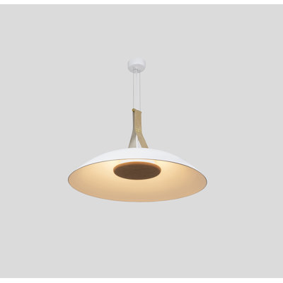 Volo 36" LED Pendant