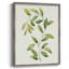 Wilted Vine II, reproduction encadrée - bois massif-1993305795