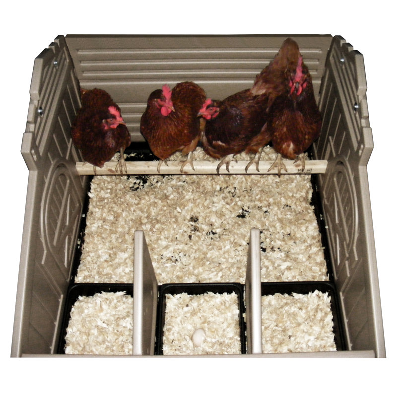 7.9 Square Feet Chicken Coop with Nesting Box