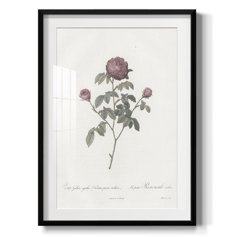 Imprimé floral rétro CXLVI - impression encadrée, Noir