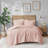 Blush Embroidered Medallion Comforter Set