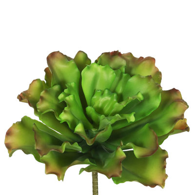 Plante grasse artificielle 9 po